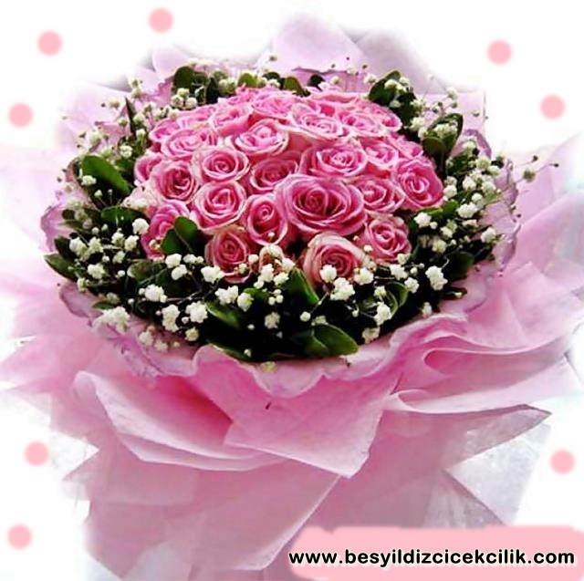 pembe dnyam