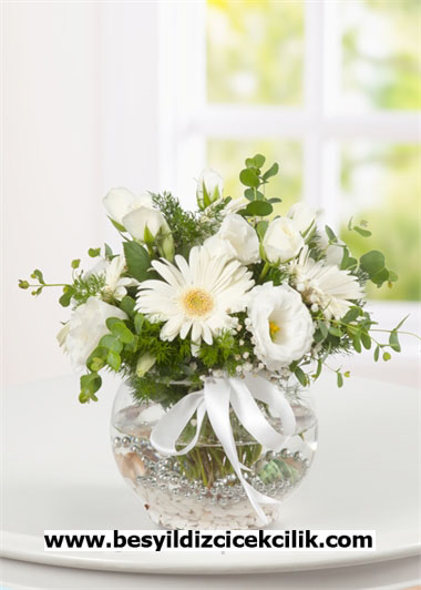 Akvaryumda Beyaz Gl ve Gerbera